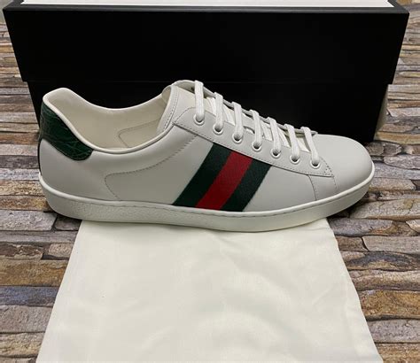 gucci sneaker ace